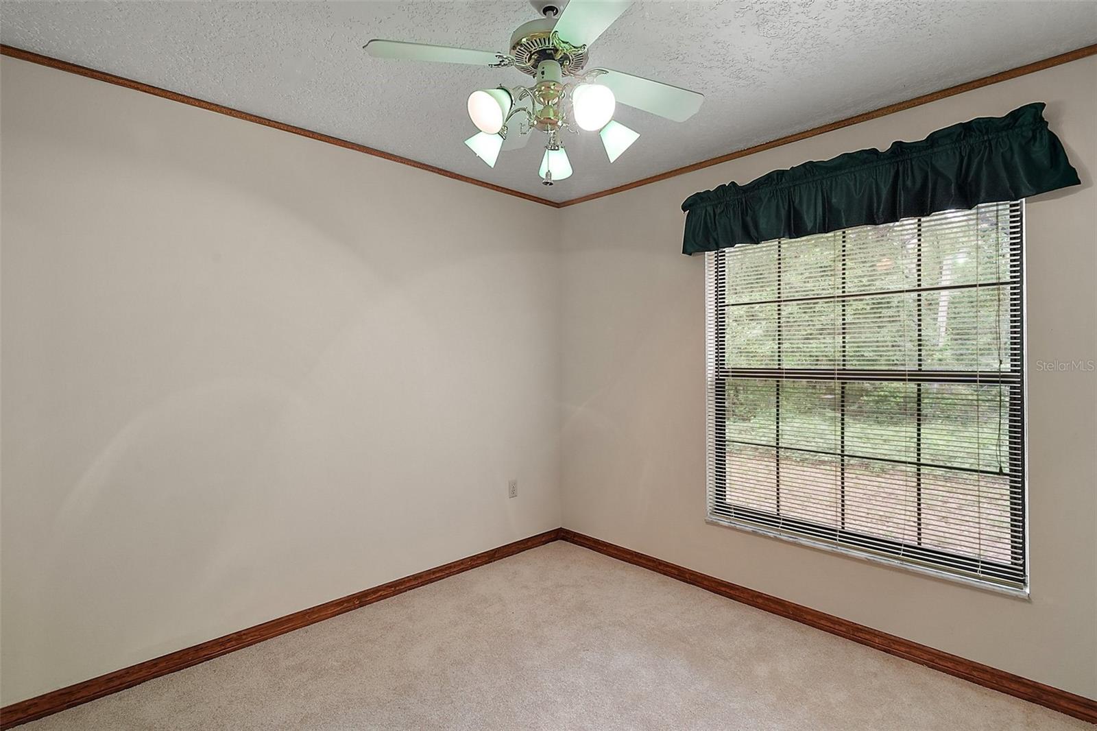 37236 CHERRY LAKE RD, FRUITLAND PARK, FL, 34731