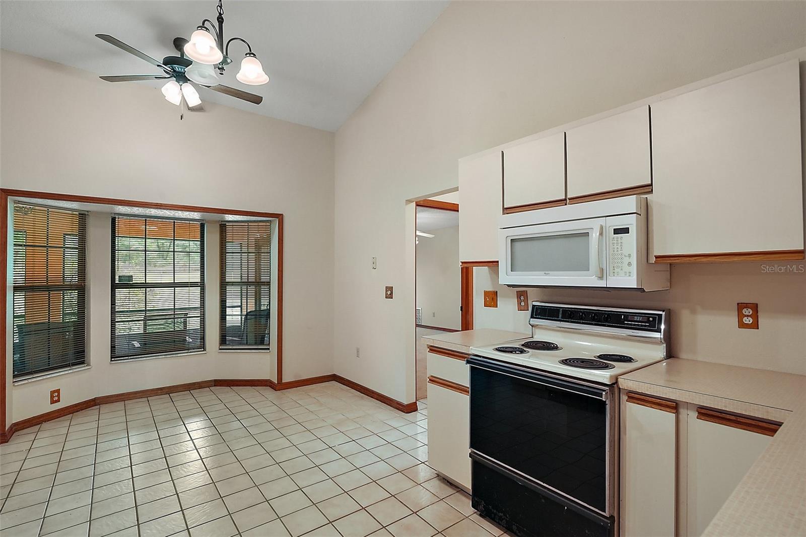 37236 CHERRY LAKE RD, FRUITLAND PARK, FL, 34731