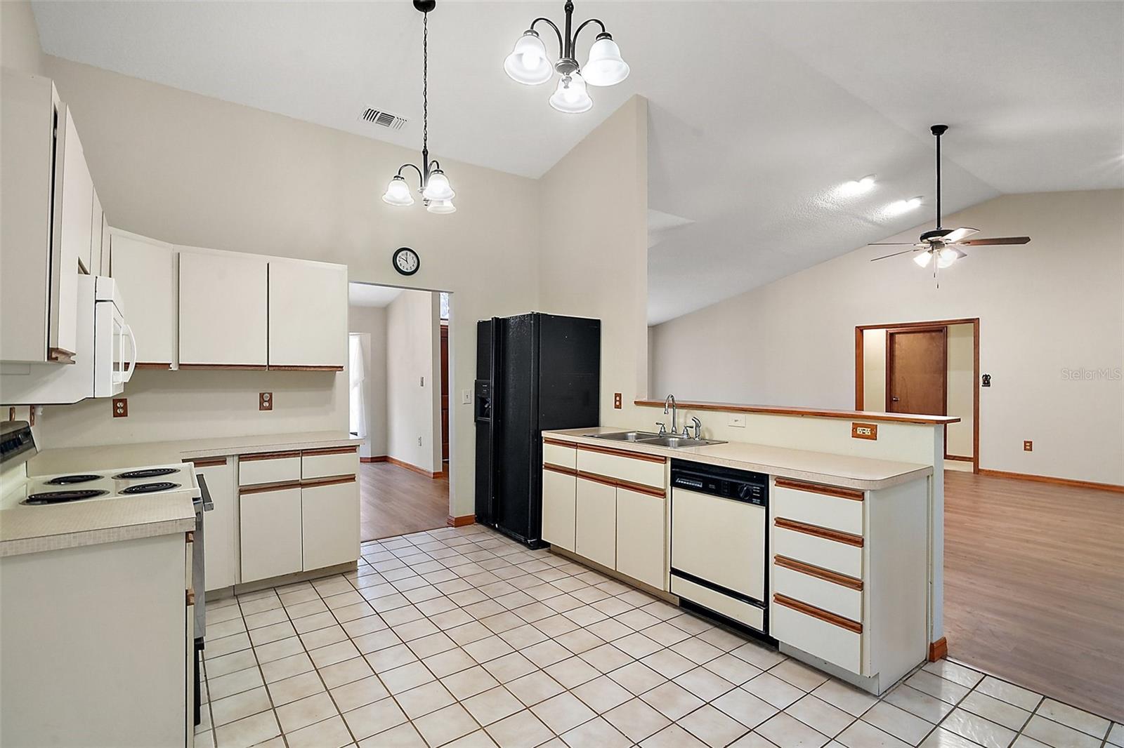 37236 CHERRY LAKE RD, FRUITLAND PARK, FL, 34731