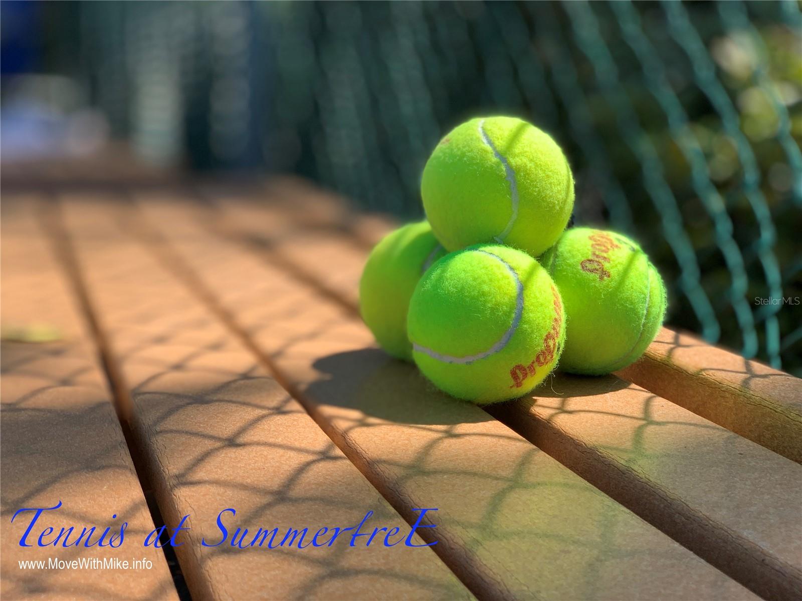 11733 BAYONET LN, NEW PORT RICHEY, FL, 34654