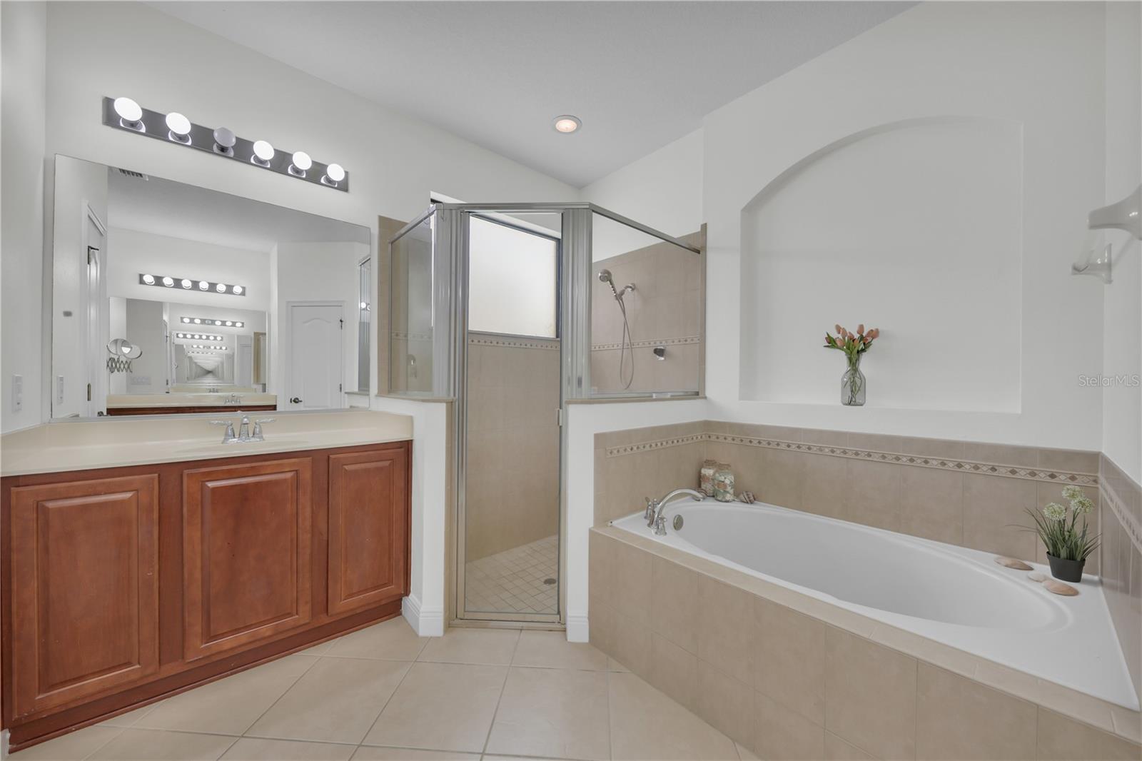 1560 CANOPY PASTURE DR, ST CLOUD, FL, 34771