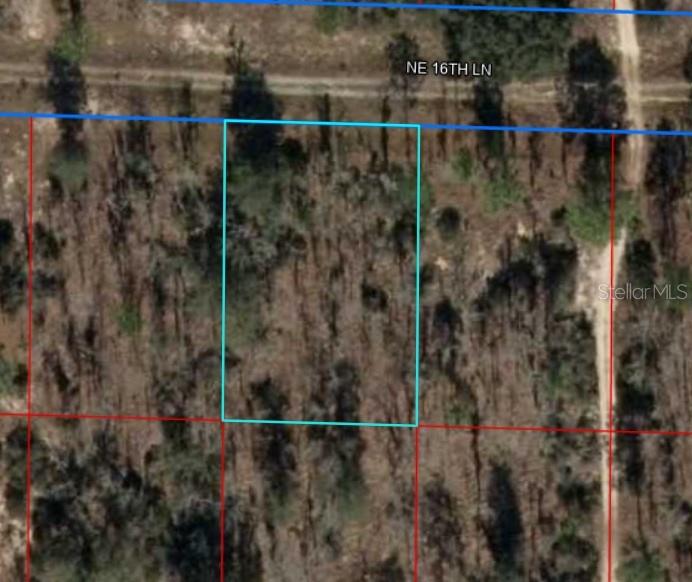 NE 16TH LN, WILLISTON, FL, 32696