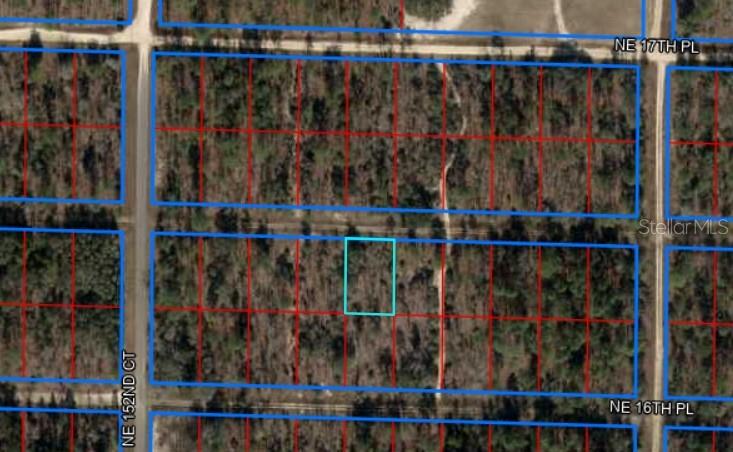 NE 16TH LN, WILLISTON, FL, 32696