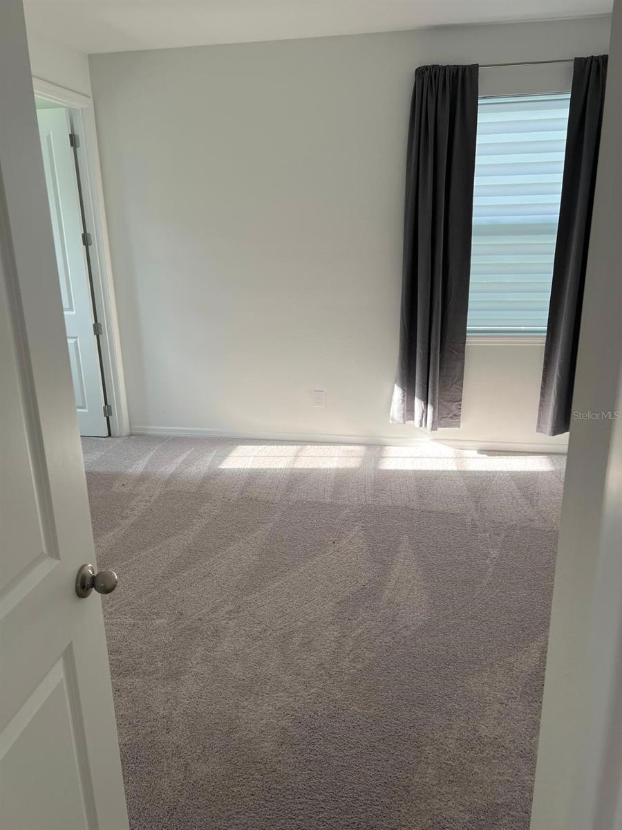 11141 GREEN CITRON ALY, WINTER GARDEN, FL, 34787