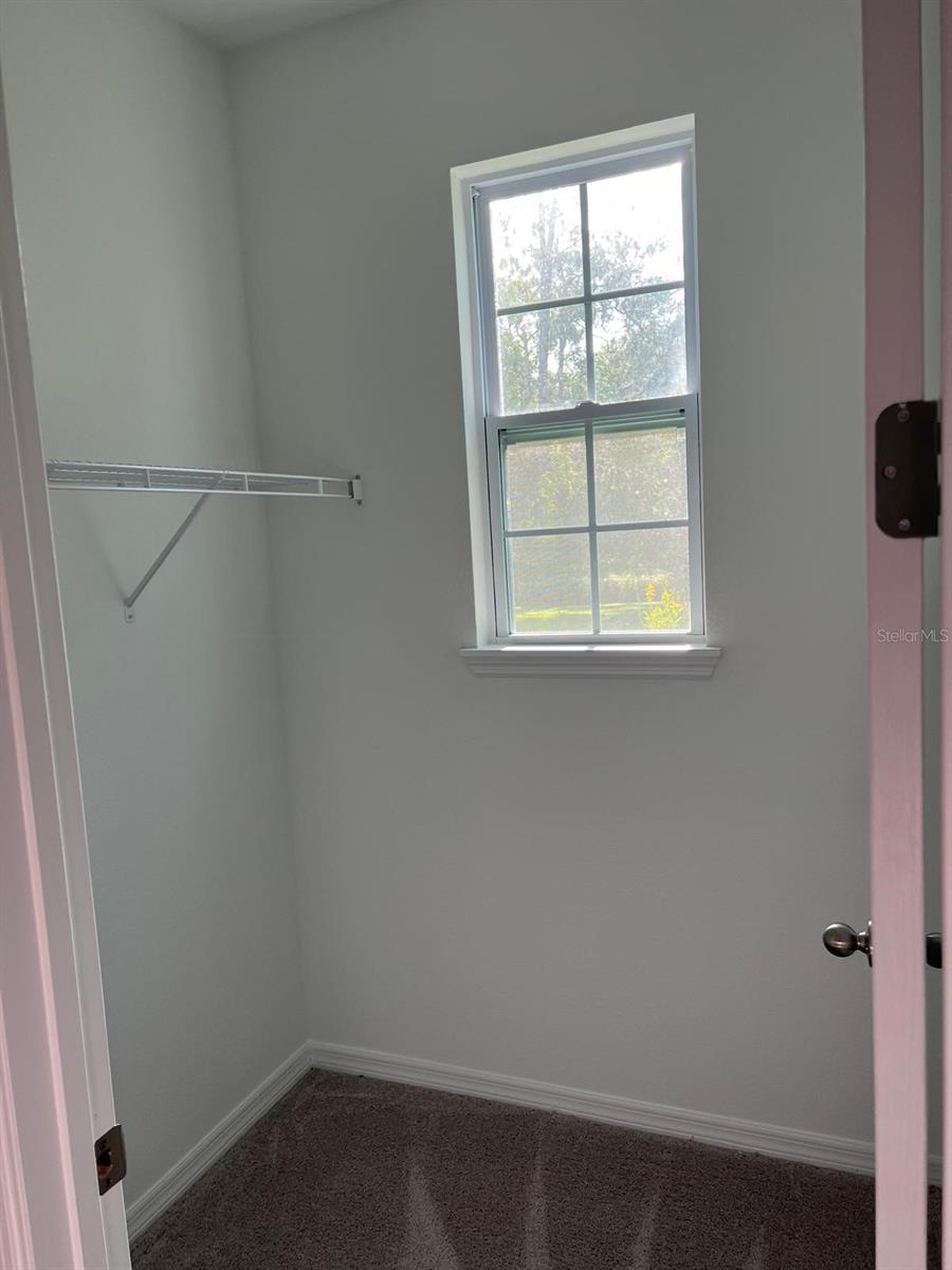 11141 GREEN CITRON ALY, WINTER GARDEN, FL, 34787