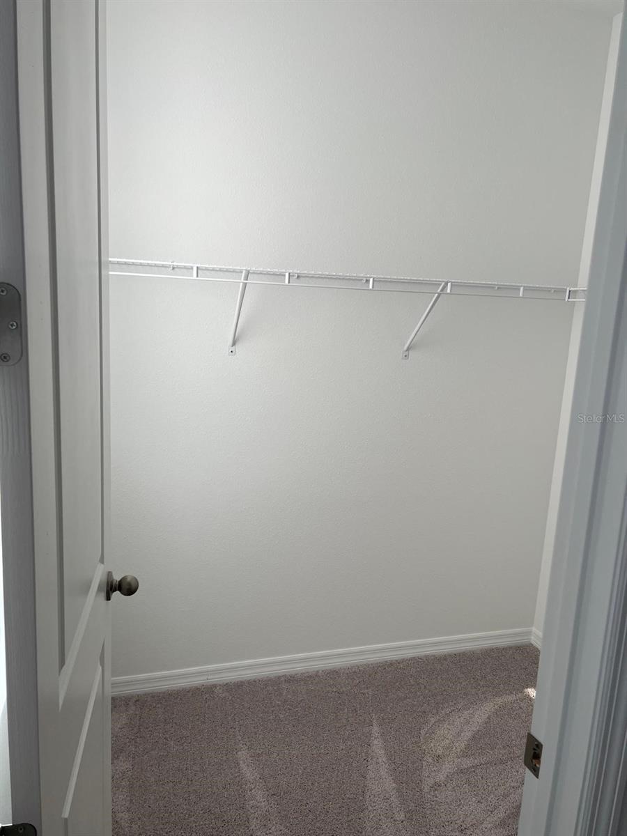 11141 GREEN CITRON ALY, WINTER GARDEN, FL, 34787