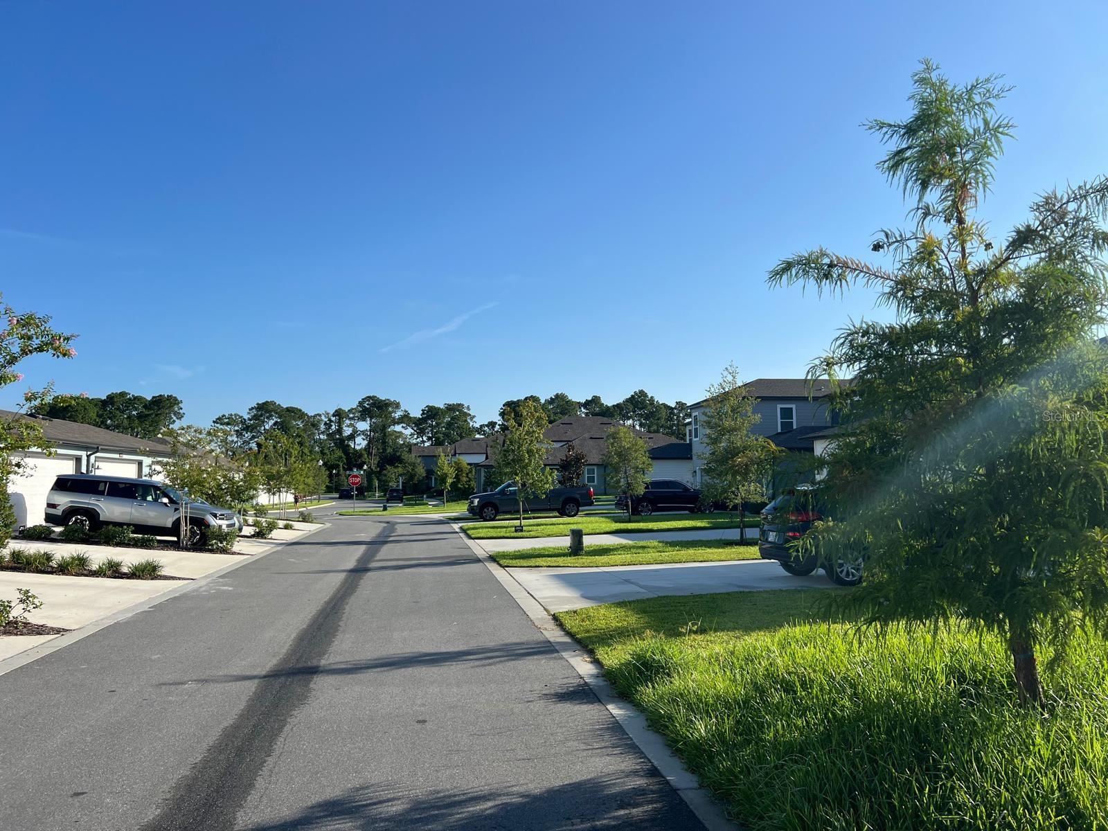 11141 GREEN CITRON ALY, WINTER GARDEN, FL, 34787