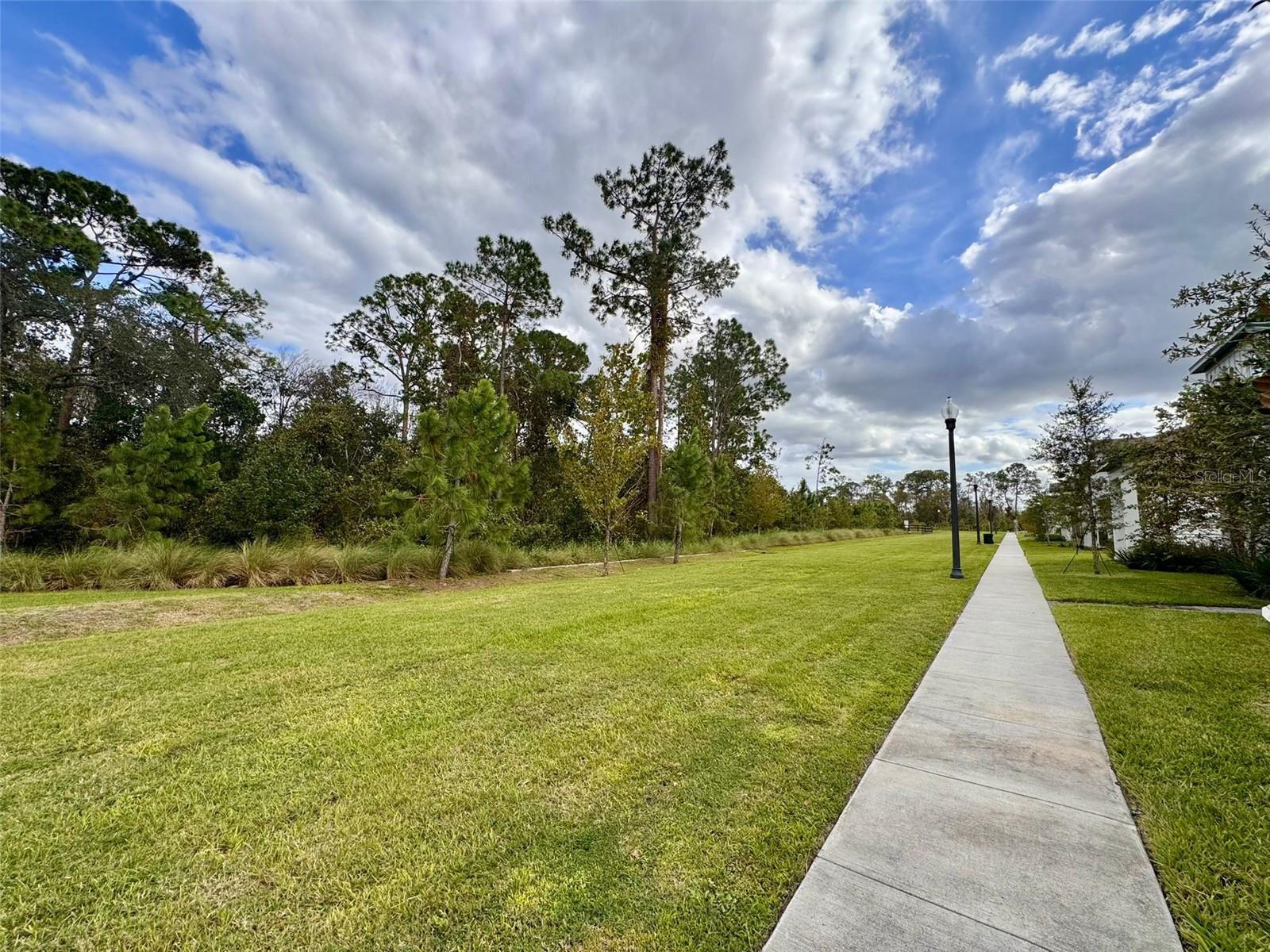 11141 GREEN CITRON ALY, WINTER GARDEN, FL, 34787