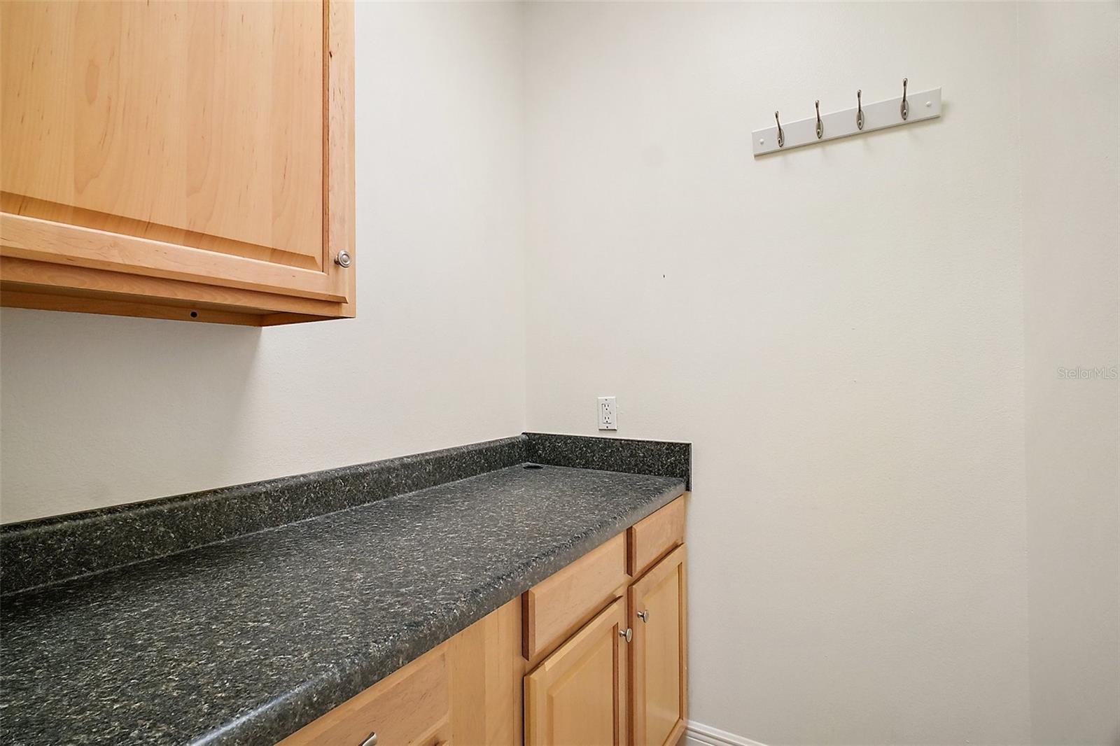 3651 LAKE CENTER DR, MOUNT DORA, FL, 32757