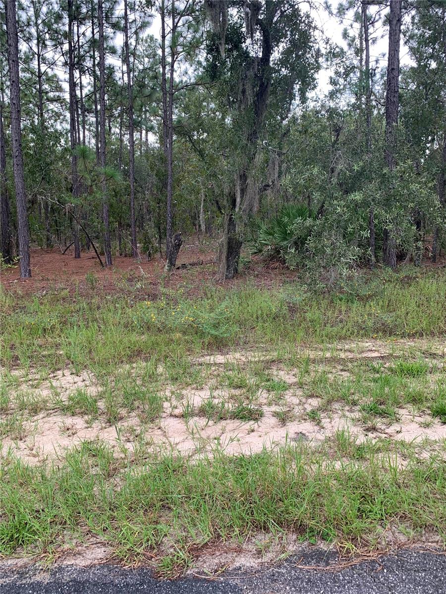 2810 W XENOX DR, CITRUS SPRINGS, FL, 34433