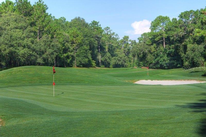 2810 W XENOX DR, CITRUS SPRINGS, FL, 34433