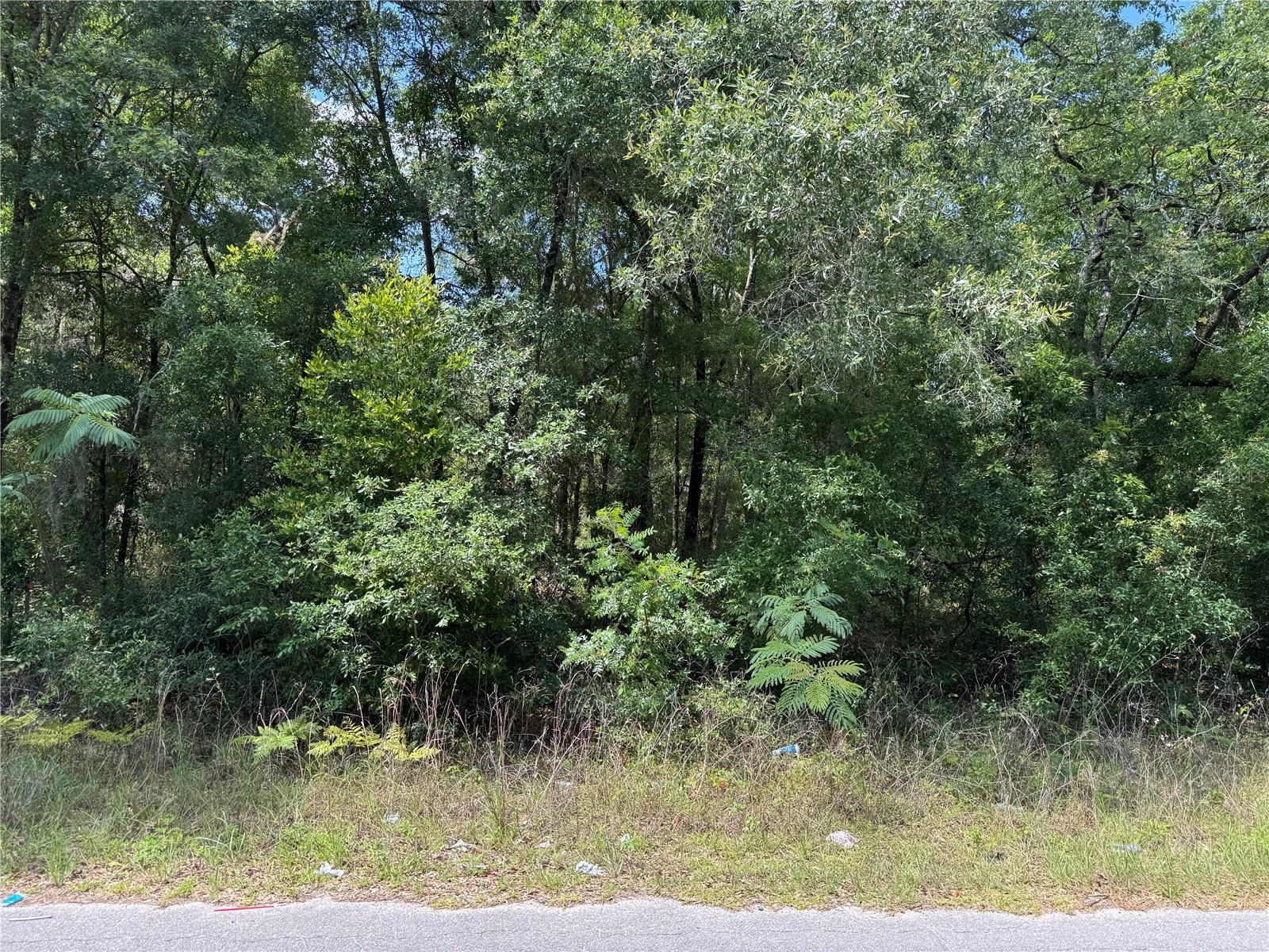 00 NE 5TH ST, WILLISTON, FL, 32696