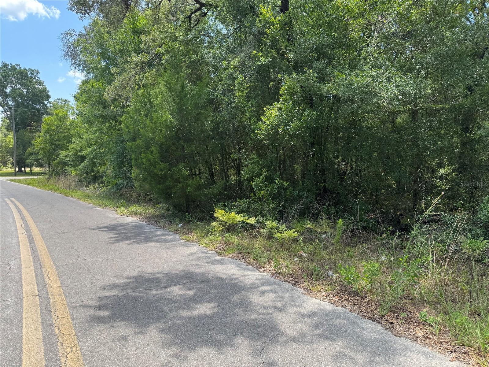 00 NE 5TH ST, WILLISTON, FL, 32696