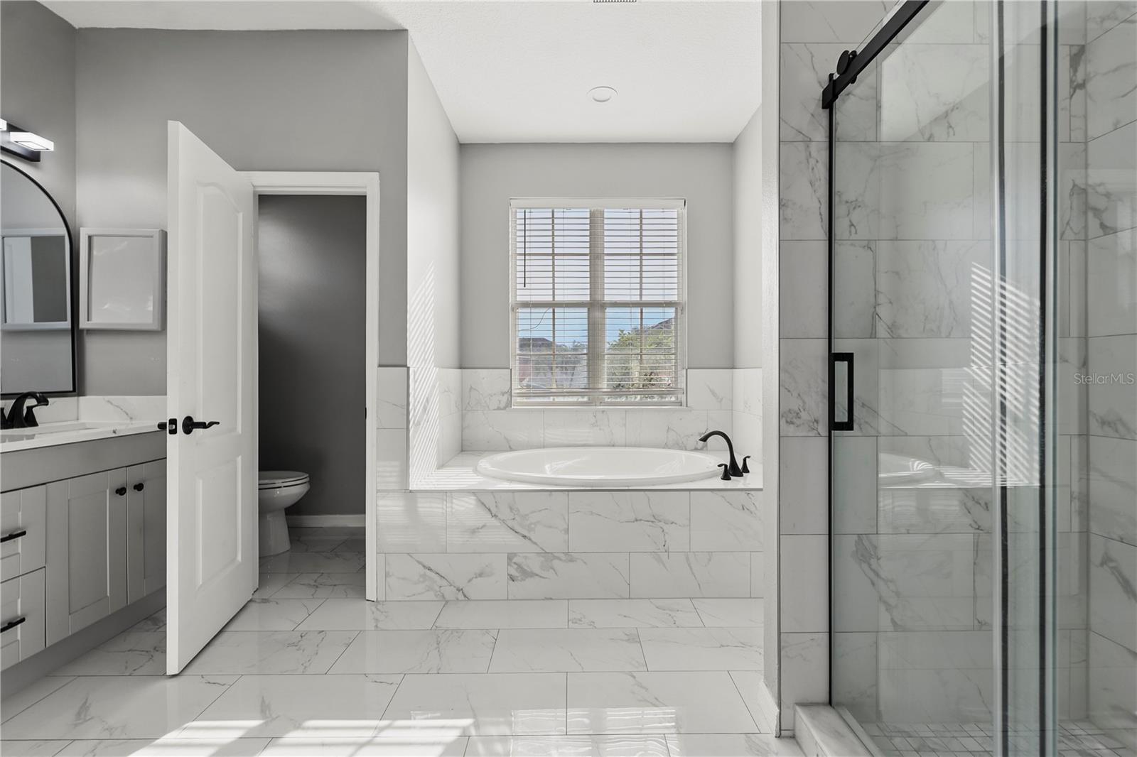 3824 BLUE DASHER DR, KISSIMMEE, FL, 34744