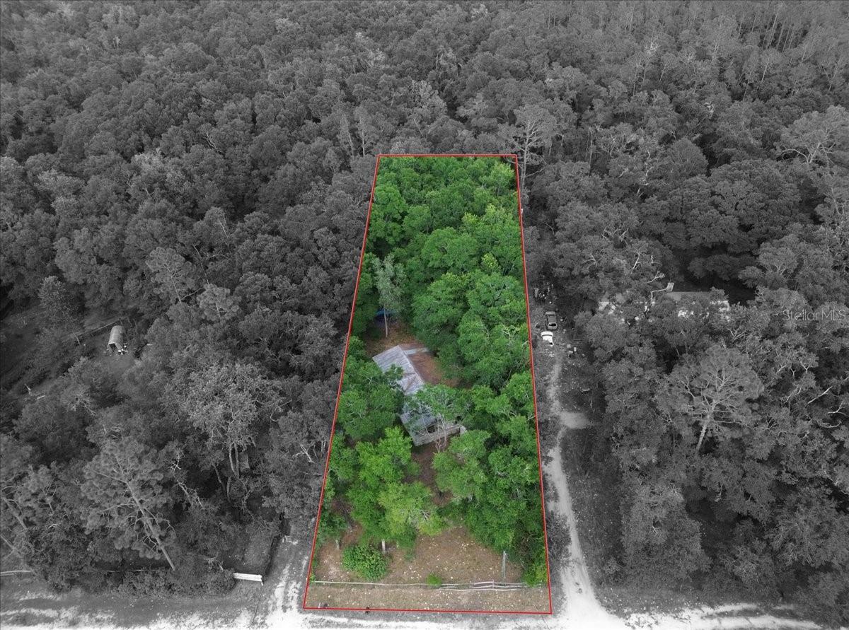 425 SW LONGHORN TER, FORT WHITE, FL, 32038