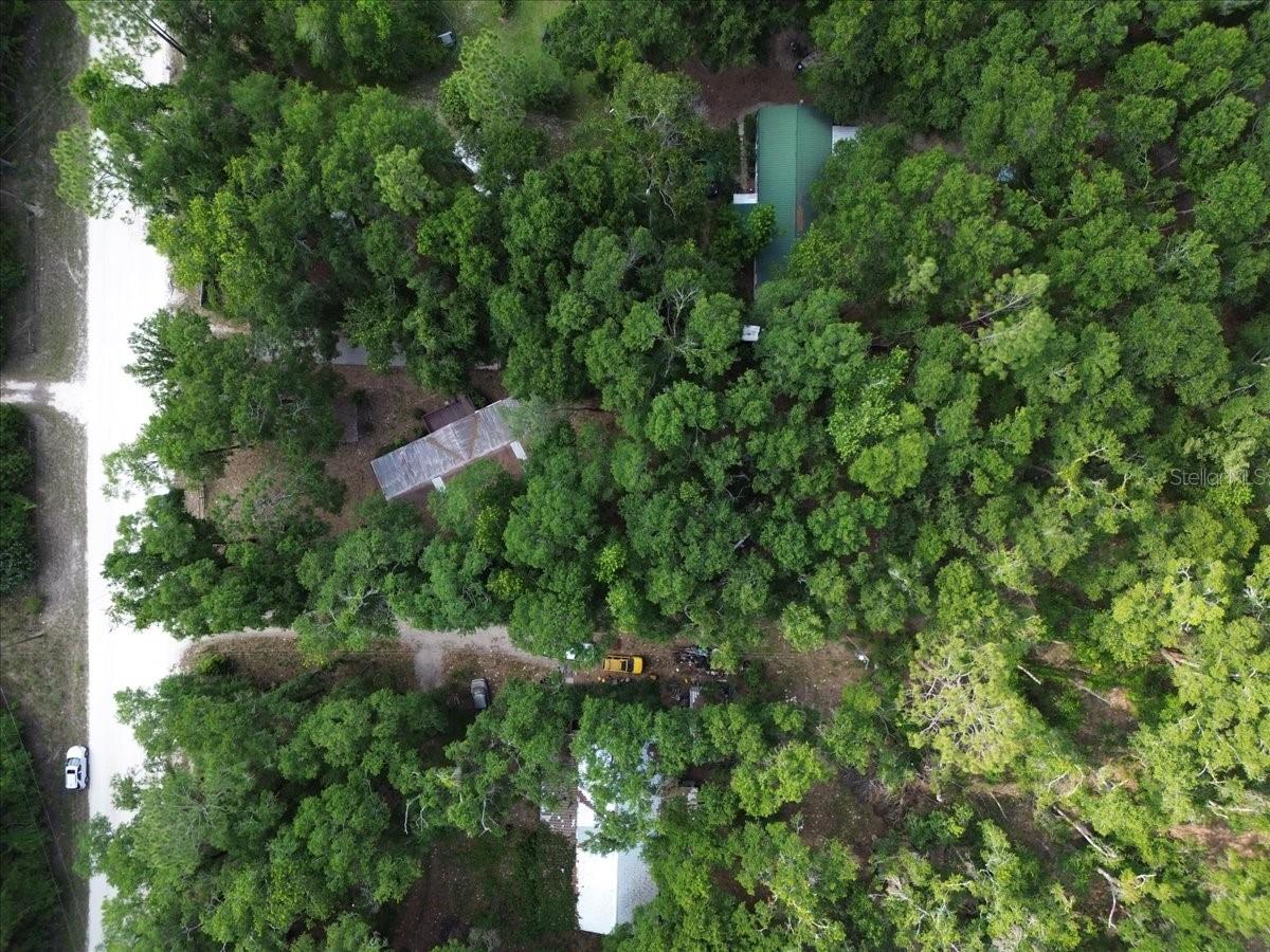 425 SW LONGHORN TER, FORT WHITE, FL, 32038