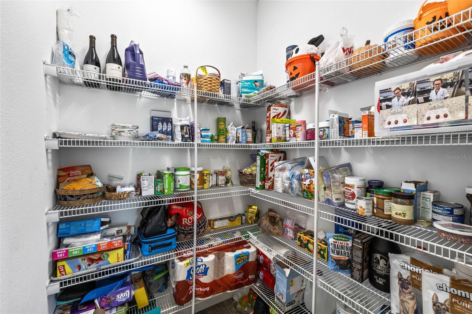 14501 TRAILS EDGE BLVD, ODESSA, FL, 33556