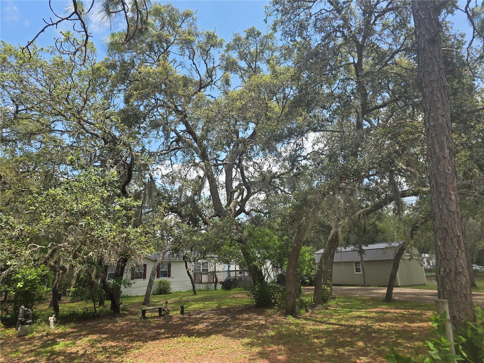 12843 ITHACA AVE, HUDSON, FL, 34667