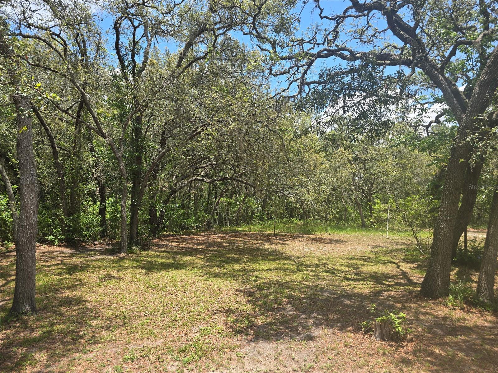 12843 ITHACA AVE, HUDSON, FL, 34667