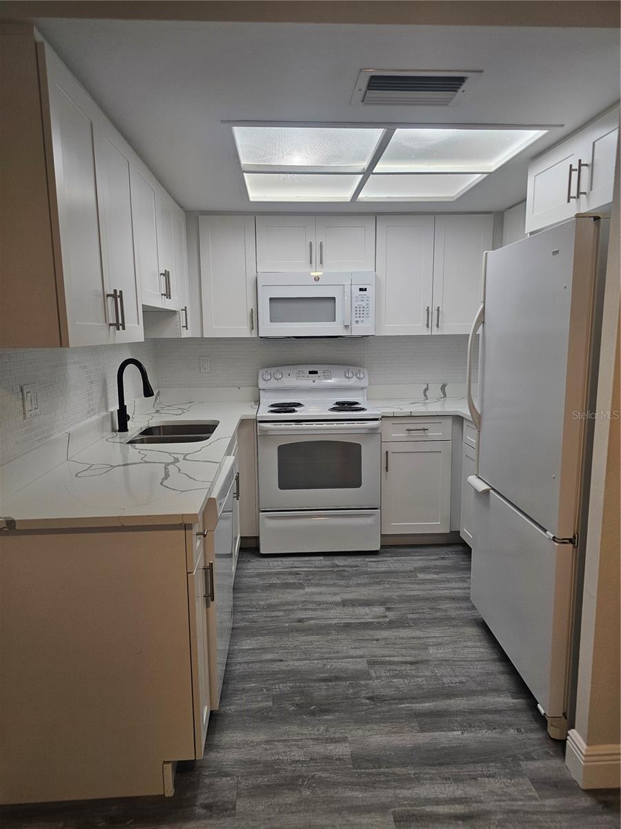 1107 QUEEN ANNE DR #C, PALM HARBOR, FL, 34684