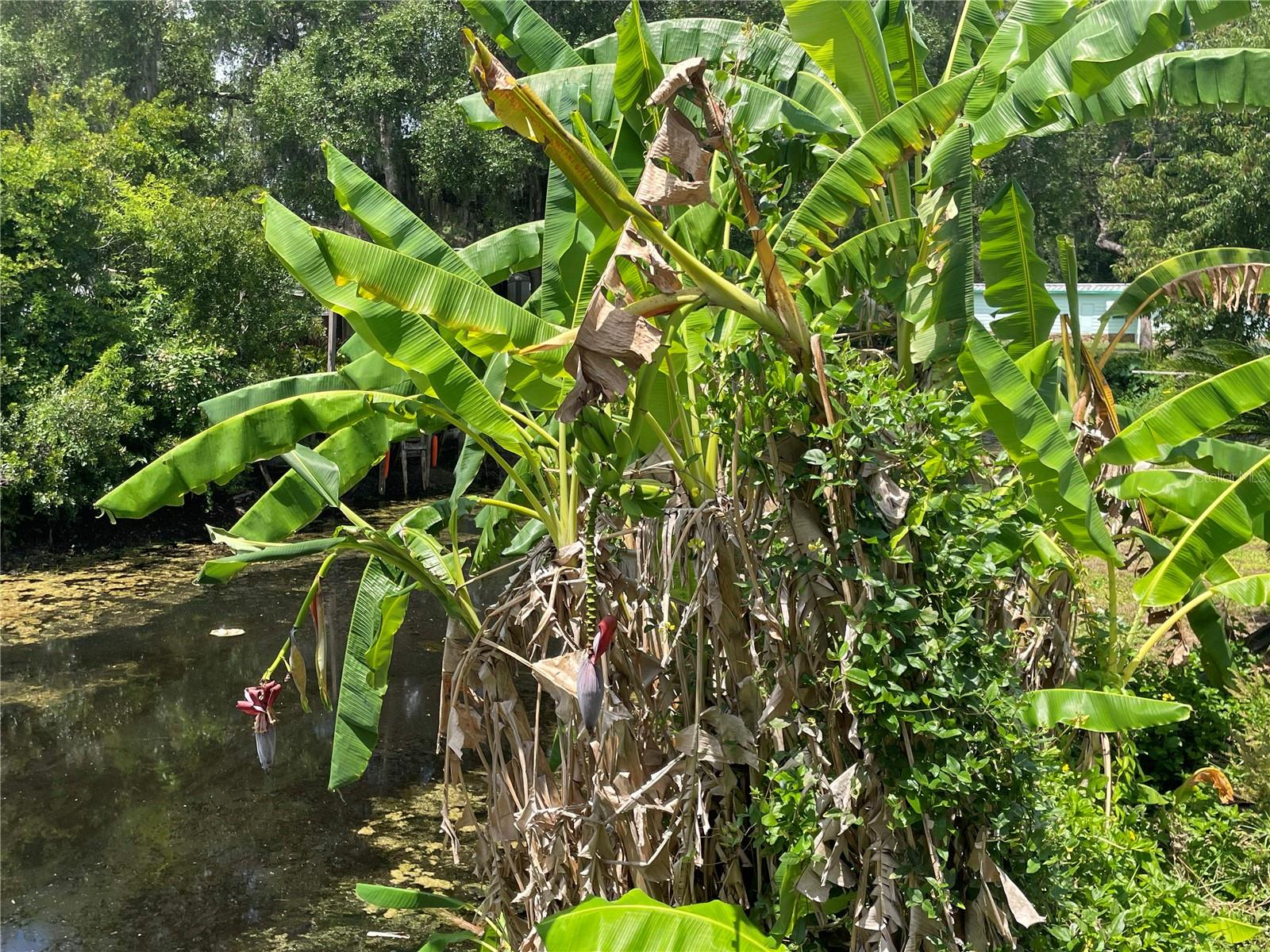 9932 E PERCH CT, INVERNESS, FL, 34450