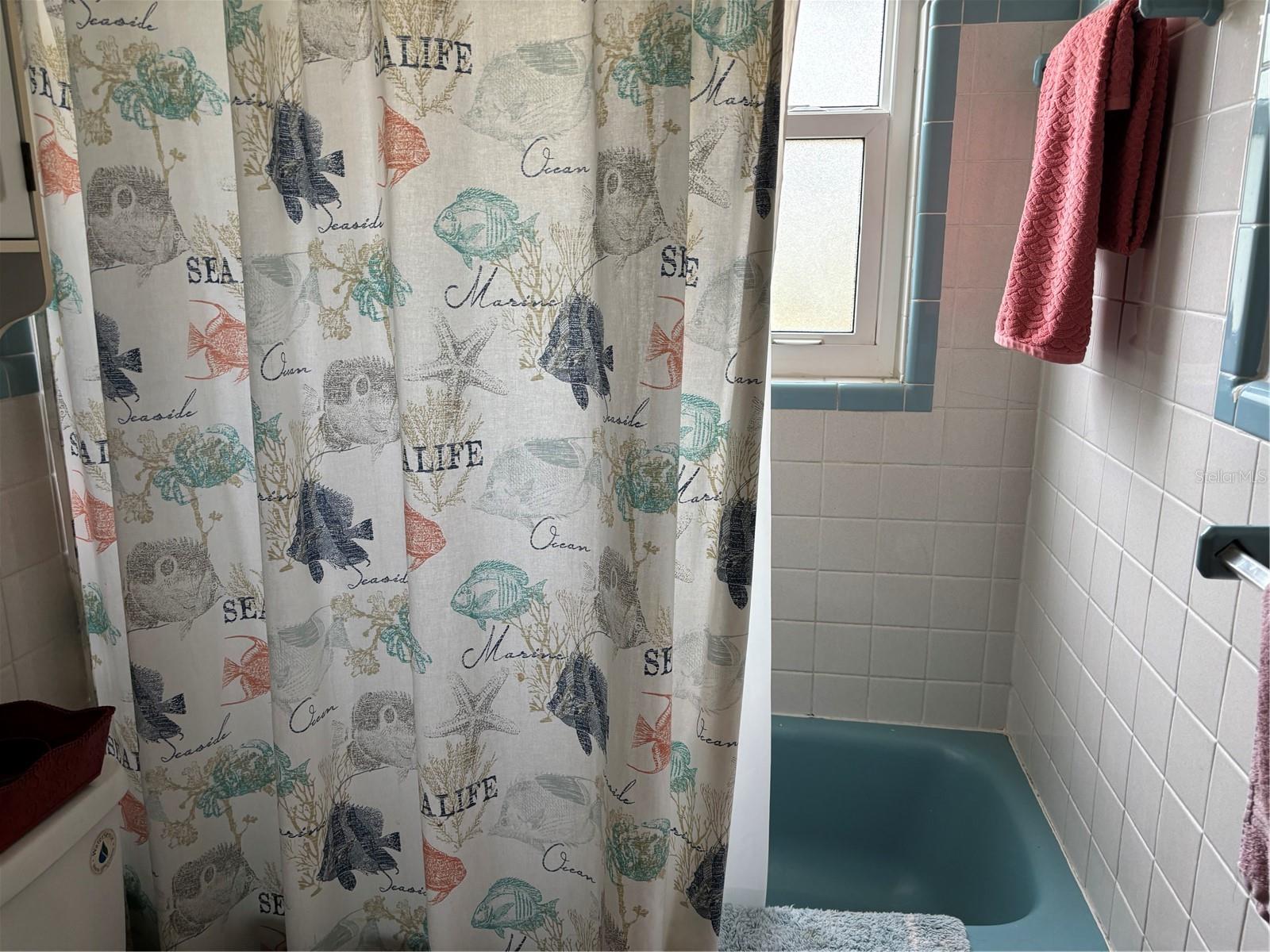 1591 HAVANA DR, CLEARWATER, FL, 33764