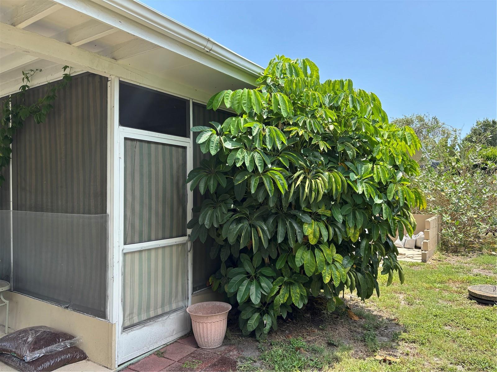 1591 HAVANA DR, CLEARWATER, FL, 33764