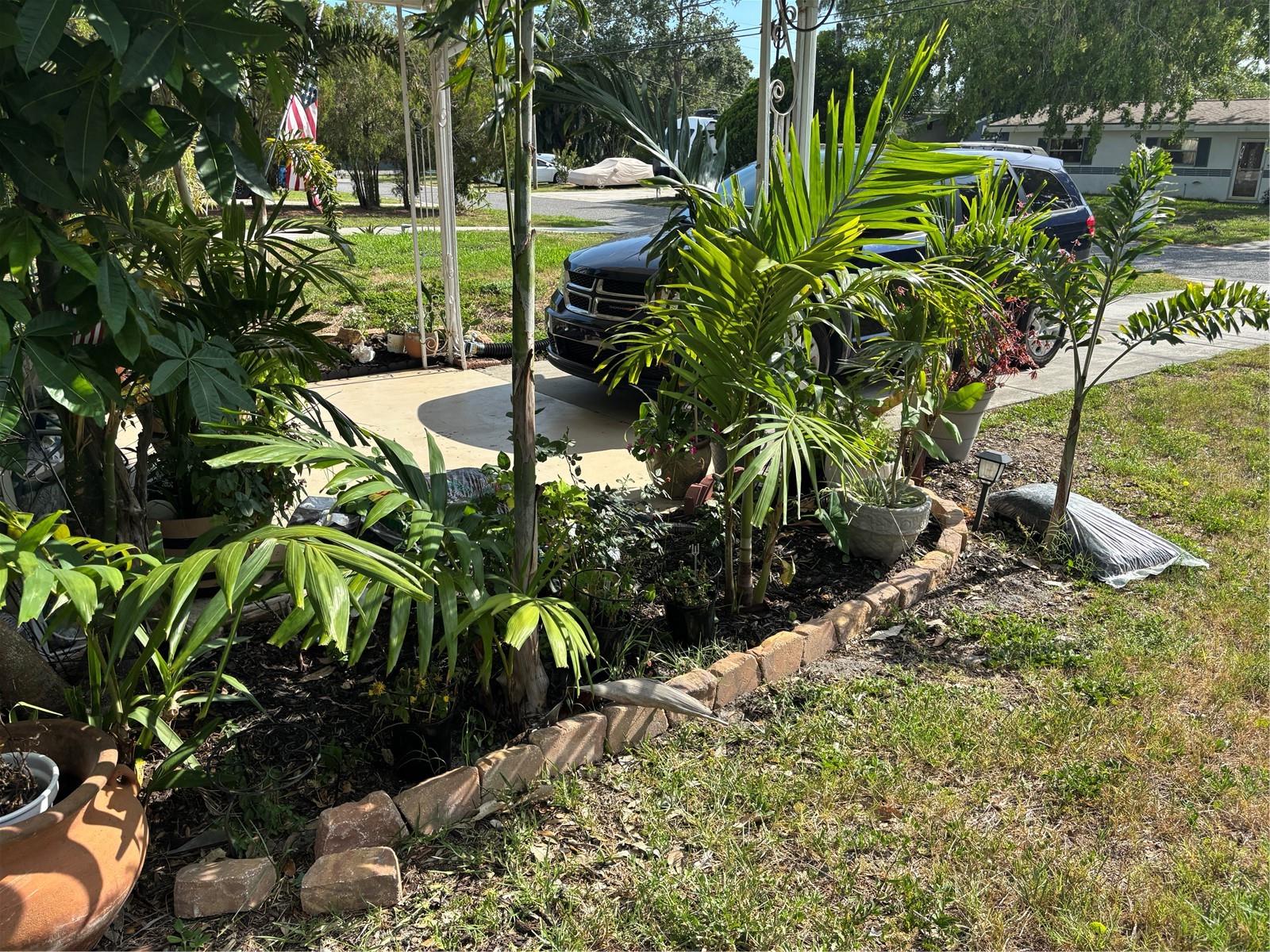 1591 HAVANA DR, CLEARWATER, FL, 33764