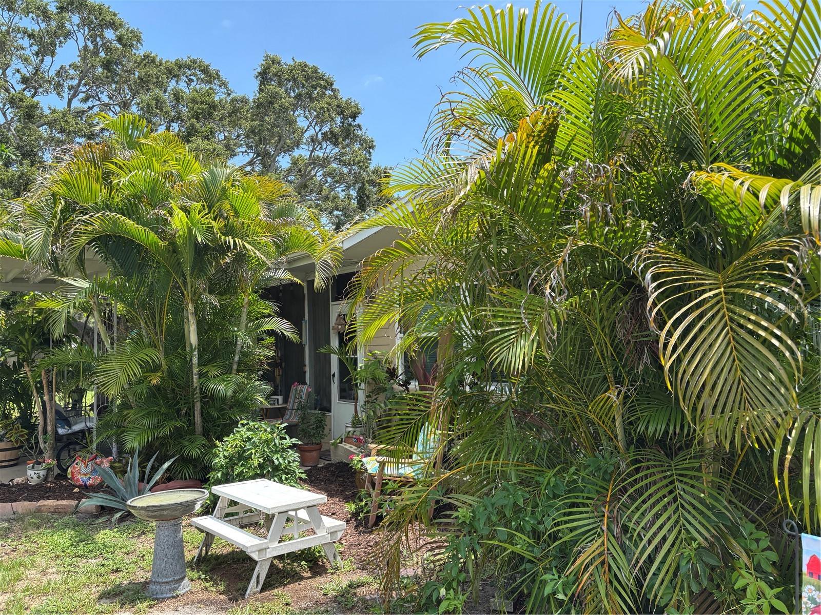 1591 HAVANA DR, CLEARWATER, FL, 33764