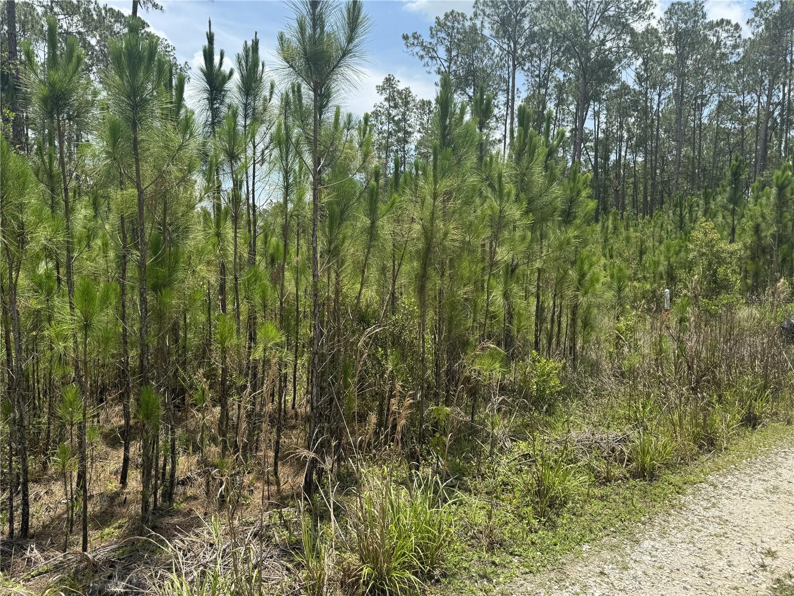 HAVANA RD, CLERMONT, FL, 34714