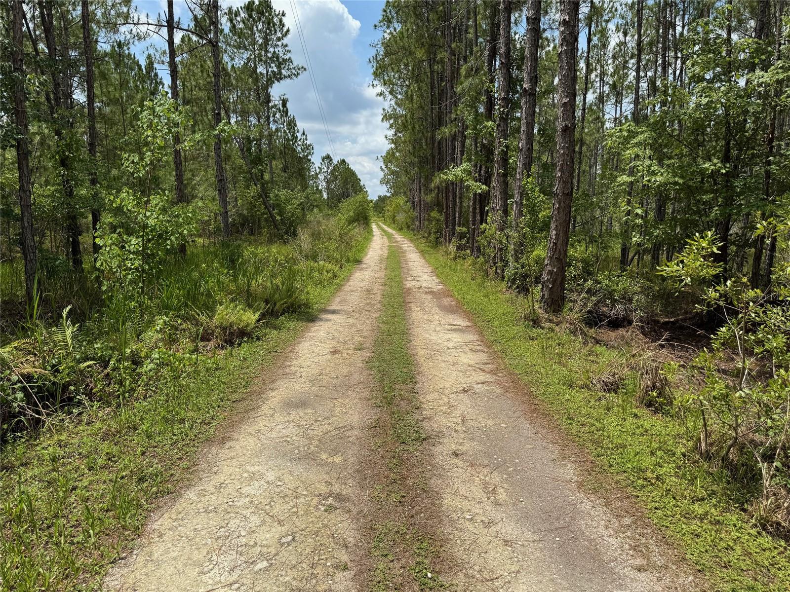 HAVANA RD, CLERMONT, FL, 34714