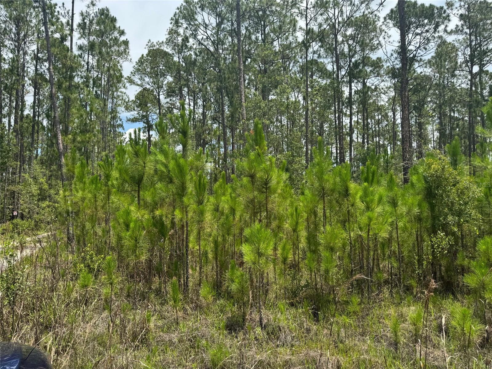 HAVANA RD, CLERMONT, FL, 34714