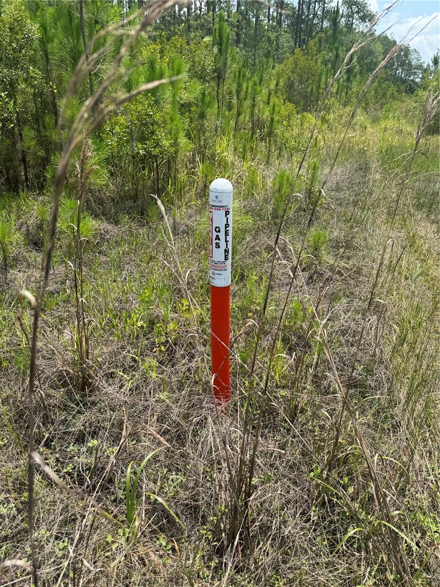 HAVANA RD, CLERMONT, FL, 34714