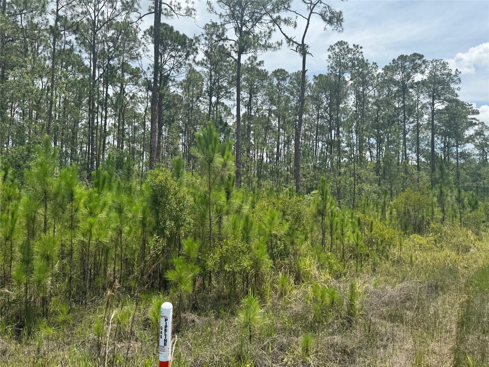 HAVANA RD, CLERMONT, FL, 34714