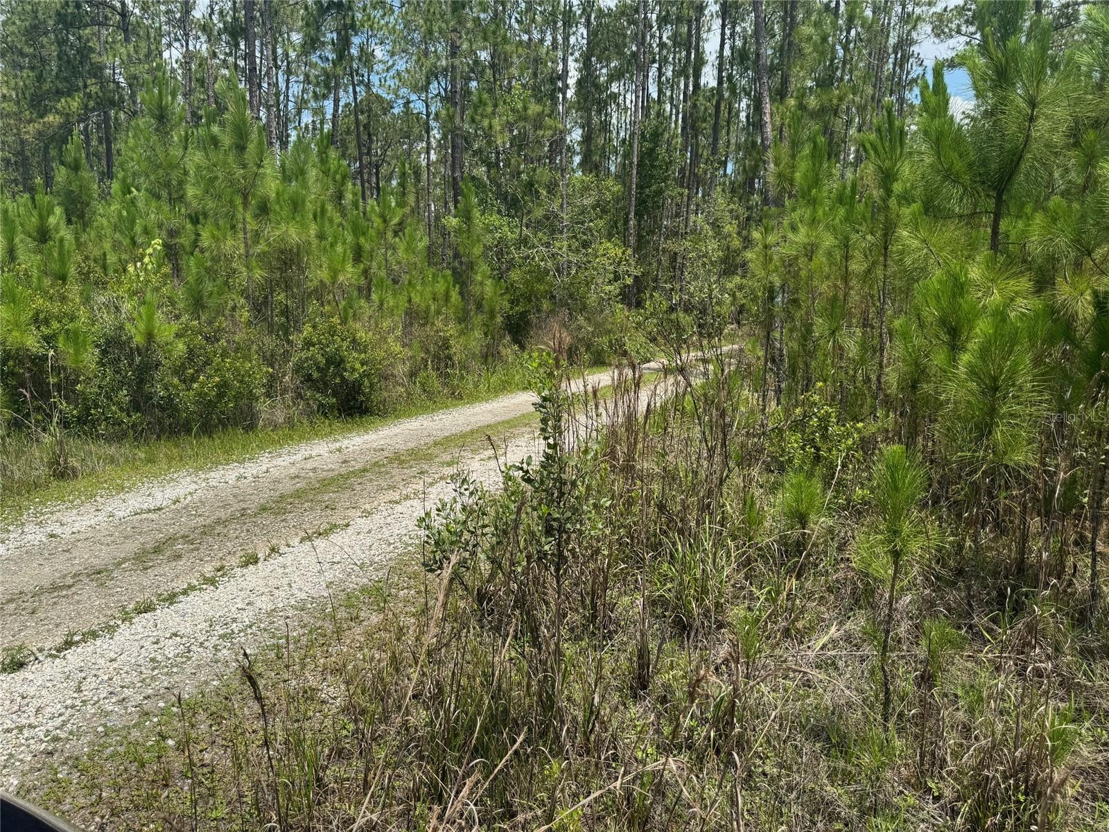 HAVANA RD, CLERMONT, FL, 34714