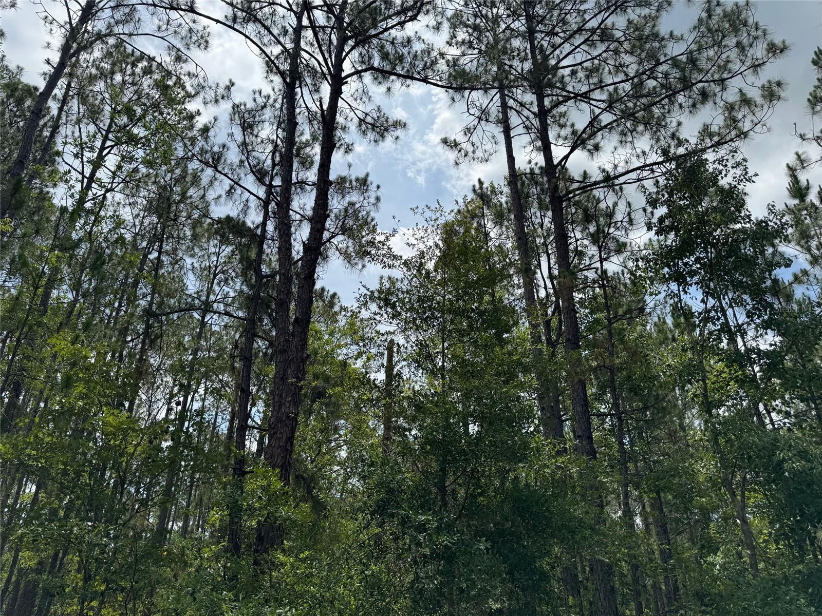 HAVANA RD, CLERMONT, FL, 34714