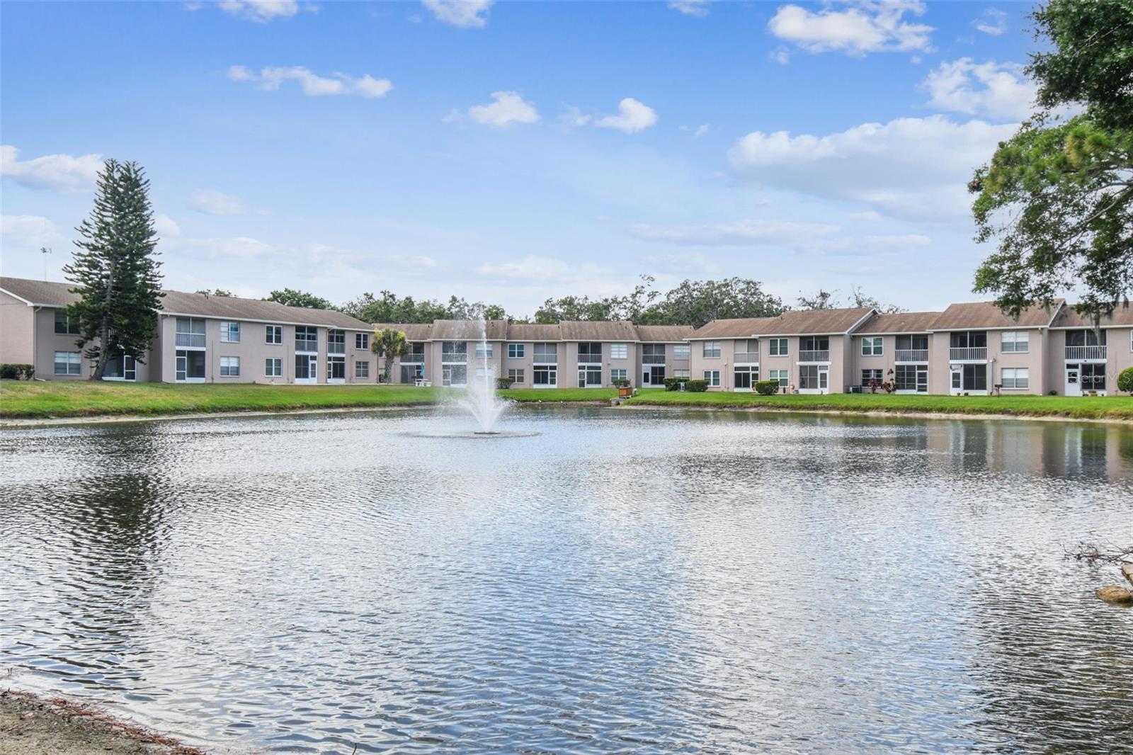 6630 SPRING FLOWER DR #14, NEW PORT RICHEY, FL, 34653