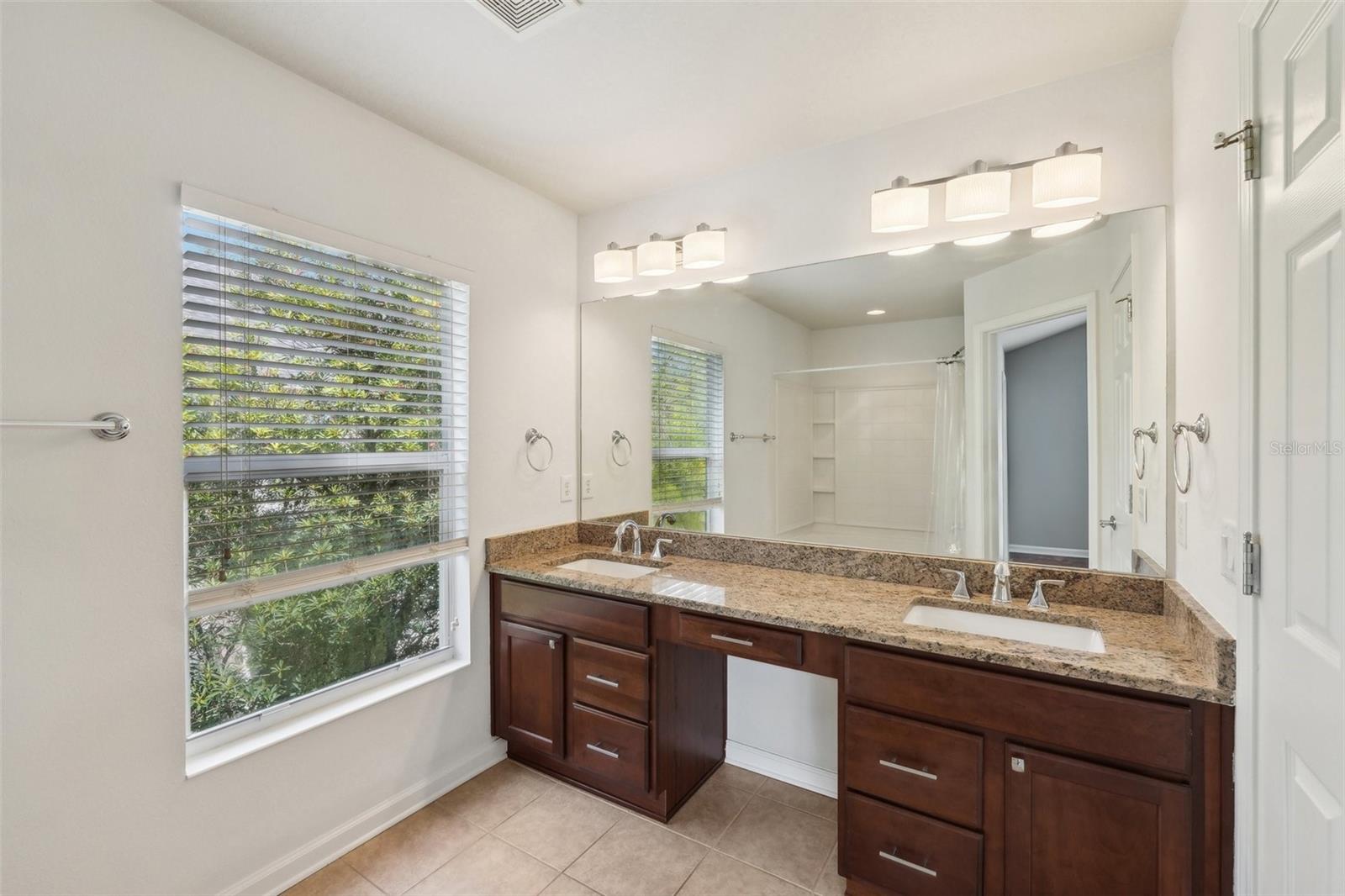 10124 WESTPARK PRESERVE BLVD, TAMPA, FL, 33625