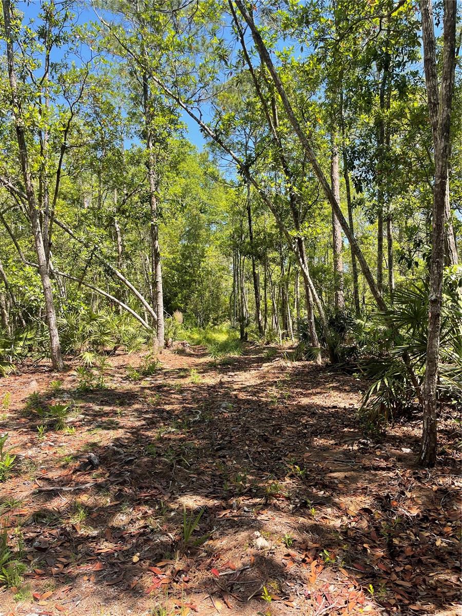 3781 PINE PITCH CT, ORMOND BEACH, FL, 32174