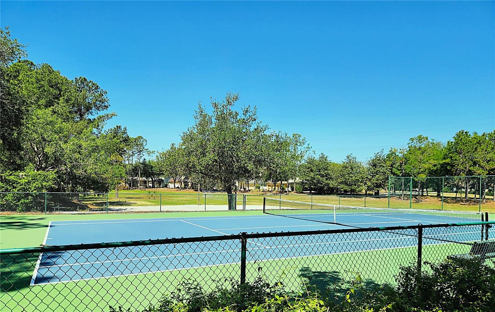 13055 OVERSTREET RD, WINDERMERE, FL, 34786