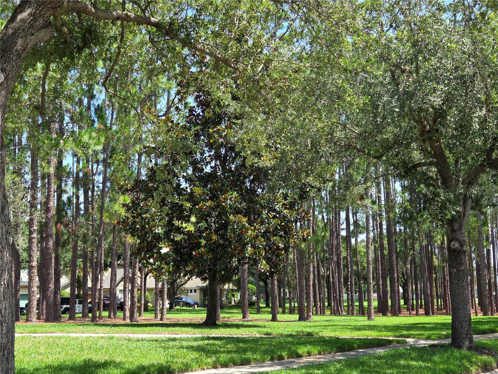 13055 OVERSTREET RD, WINDERMERE, FL, 34786