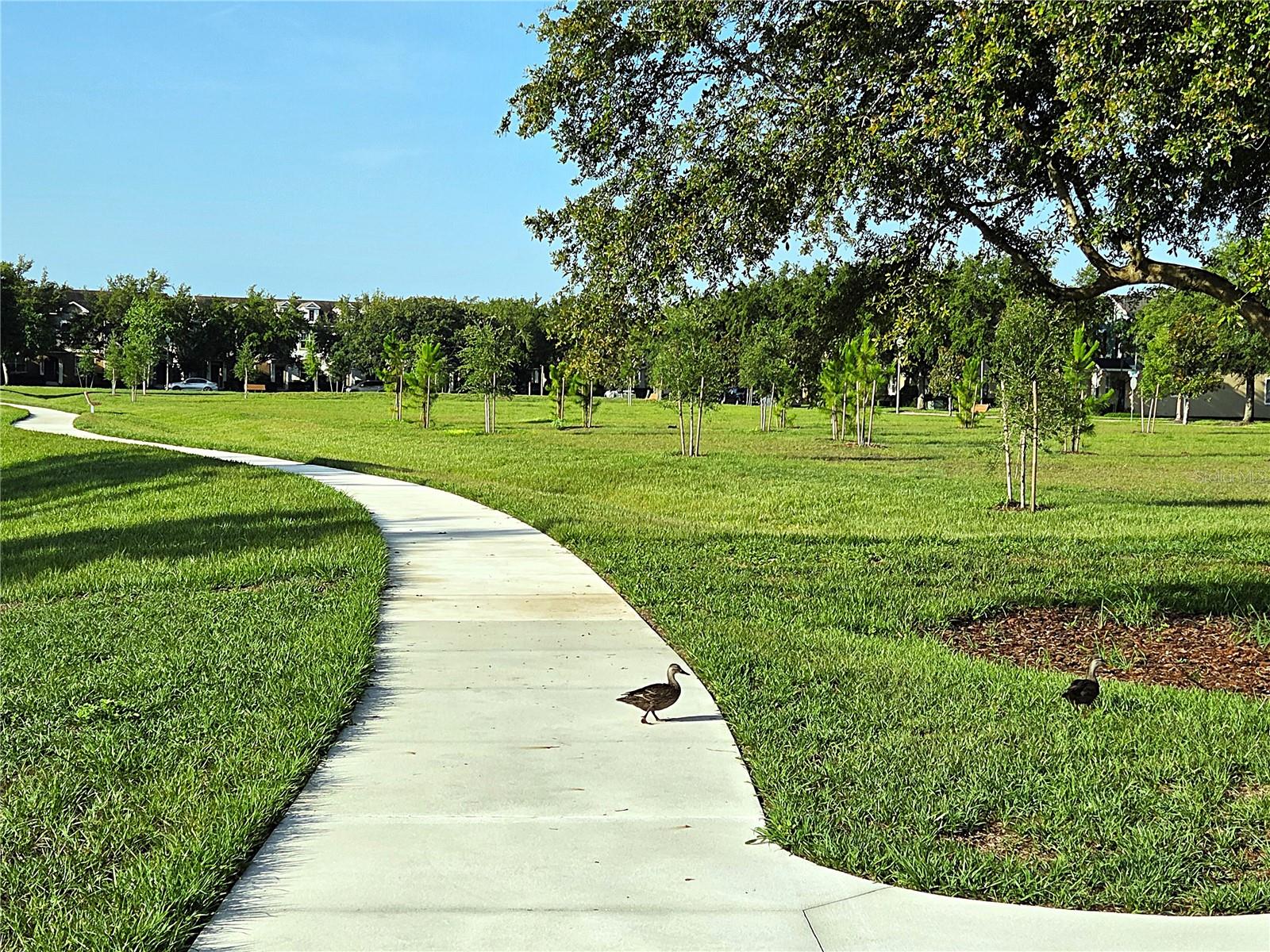 13055 OVERSTREET RD, WINDERMERE, FL, 34786