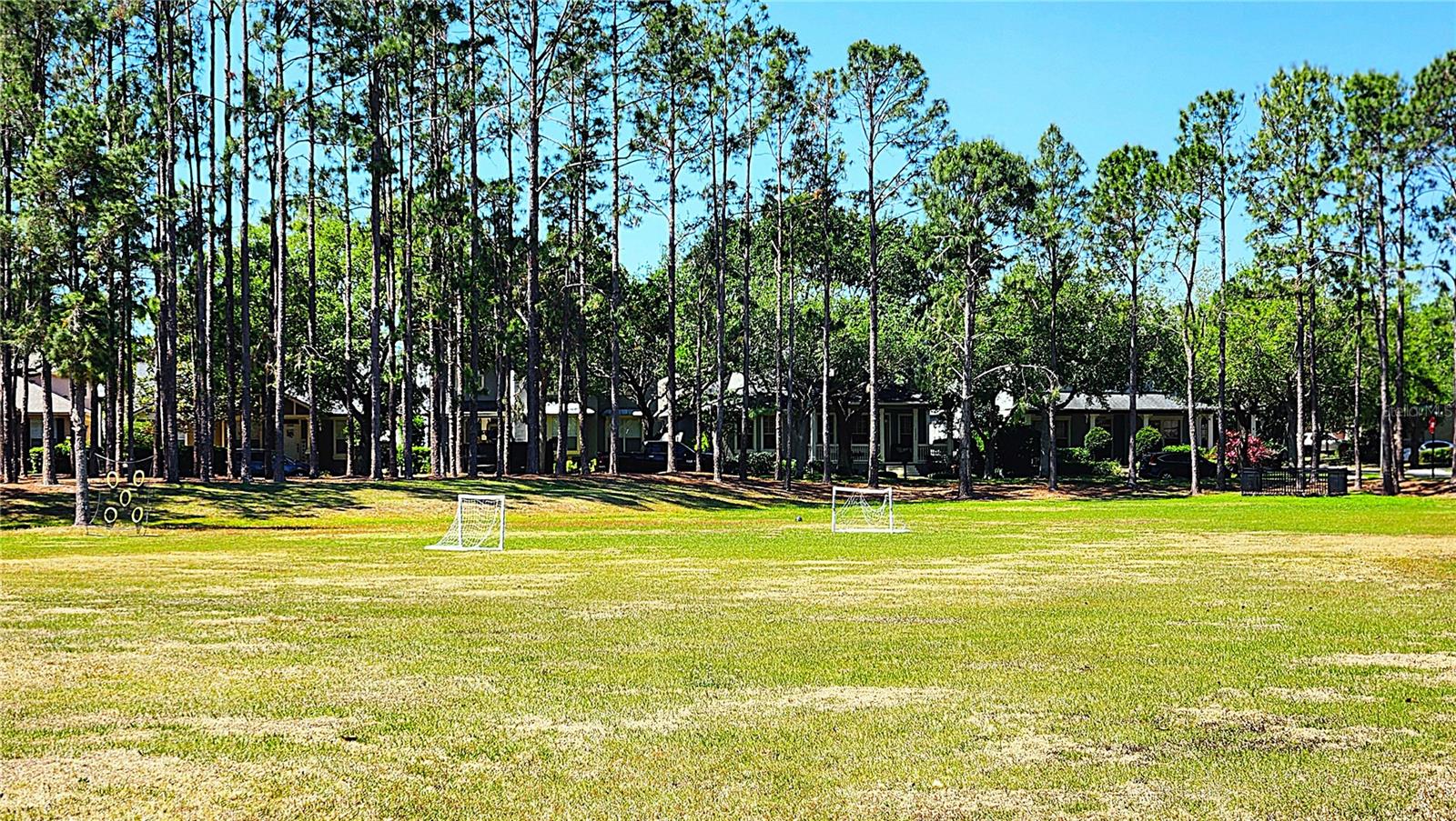 13055 OVERSTREET RD, WINDERMERE, FL, 34786