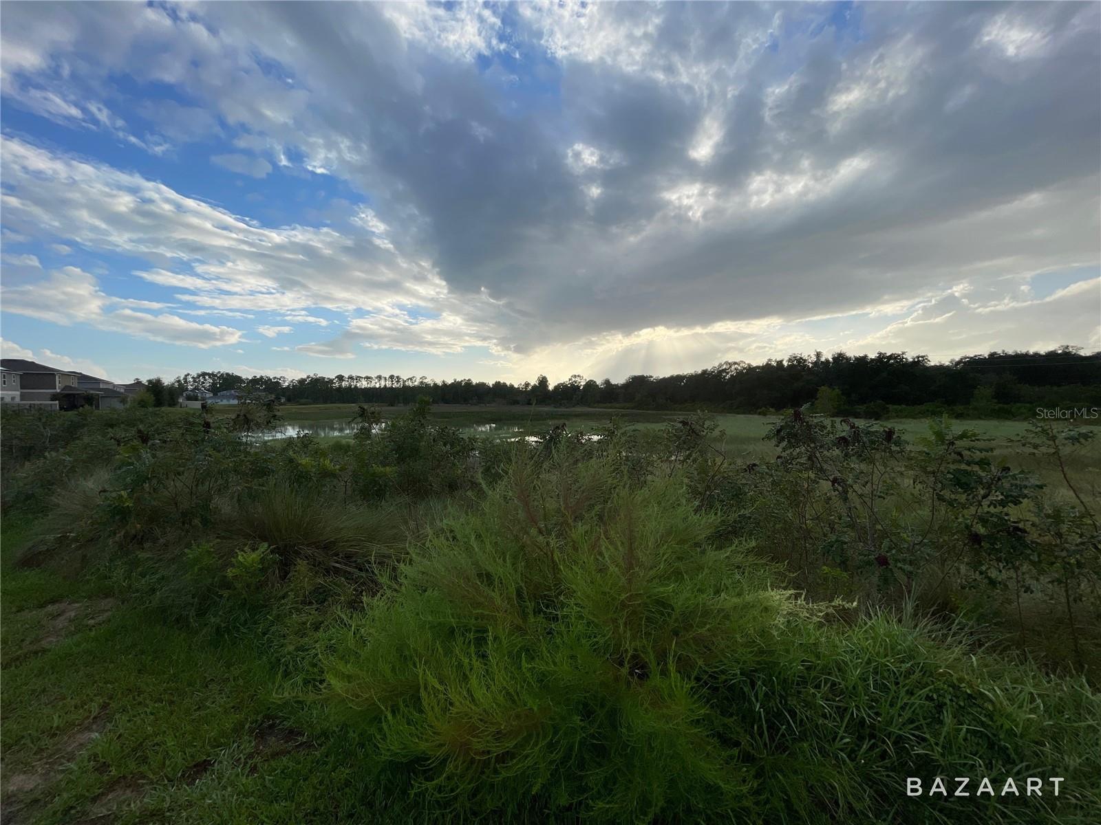 1393 SAWGRASS HAMMOCK LN, DAVENPORT, FL, 33837
