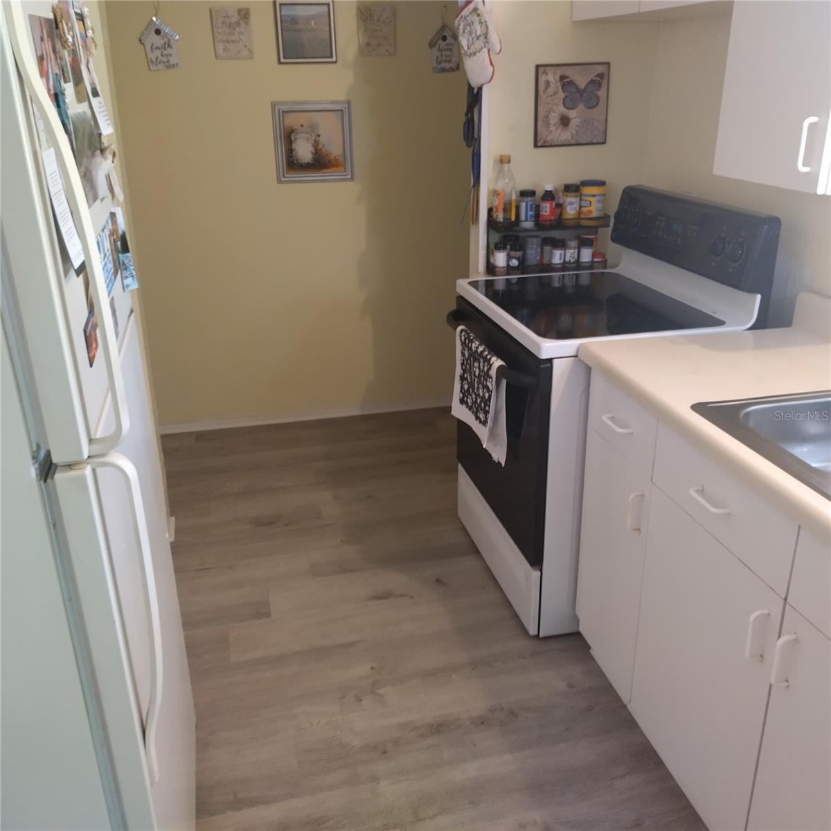 9846 PANGOLA LOOP, LAND O LAKES, FL, 34639