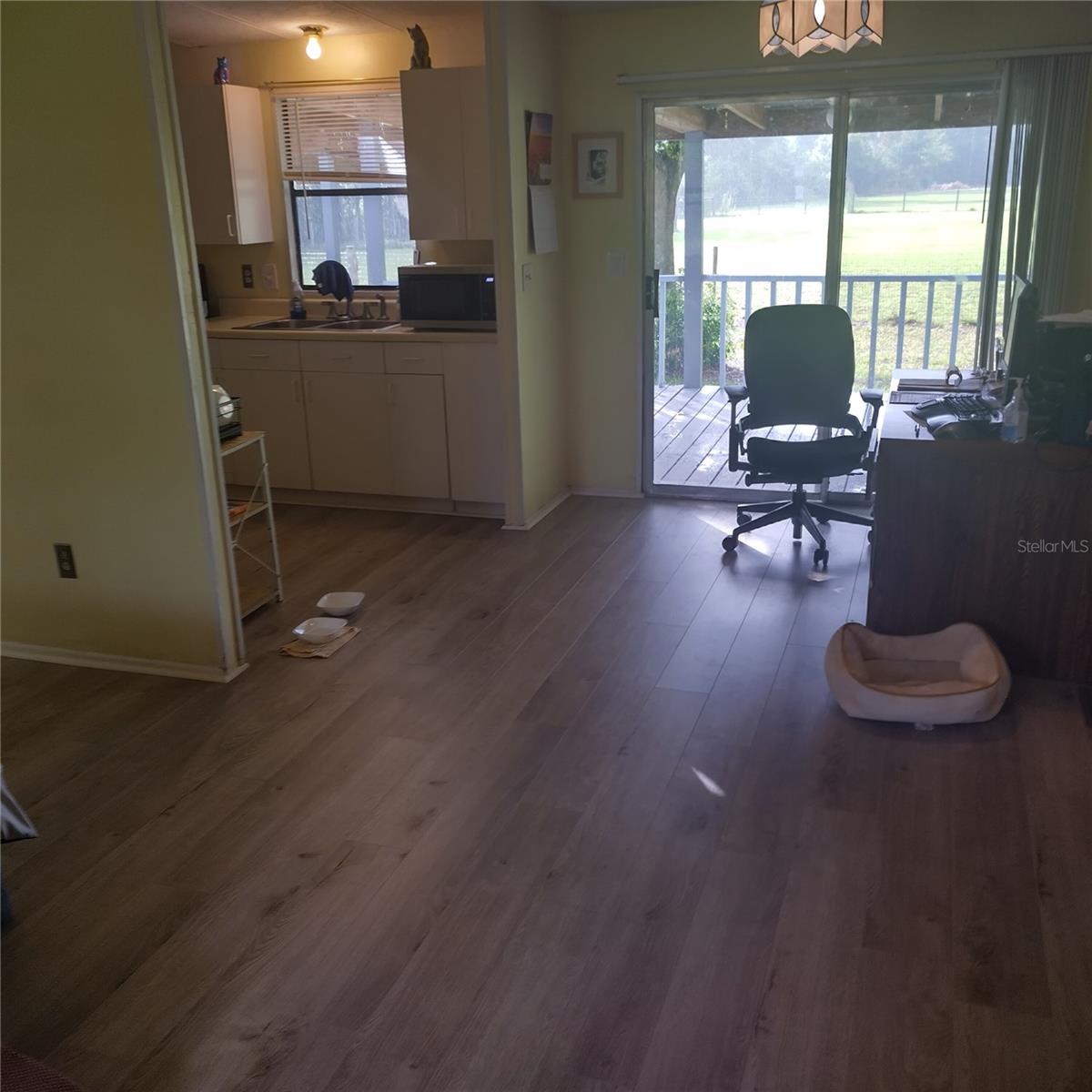 9846 PANGOLA LOOP, LAND O LAKES, FL, 34639