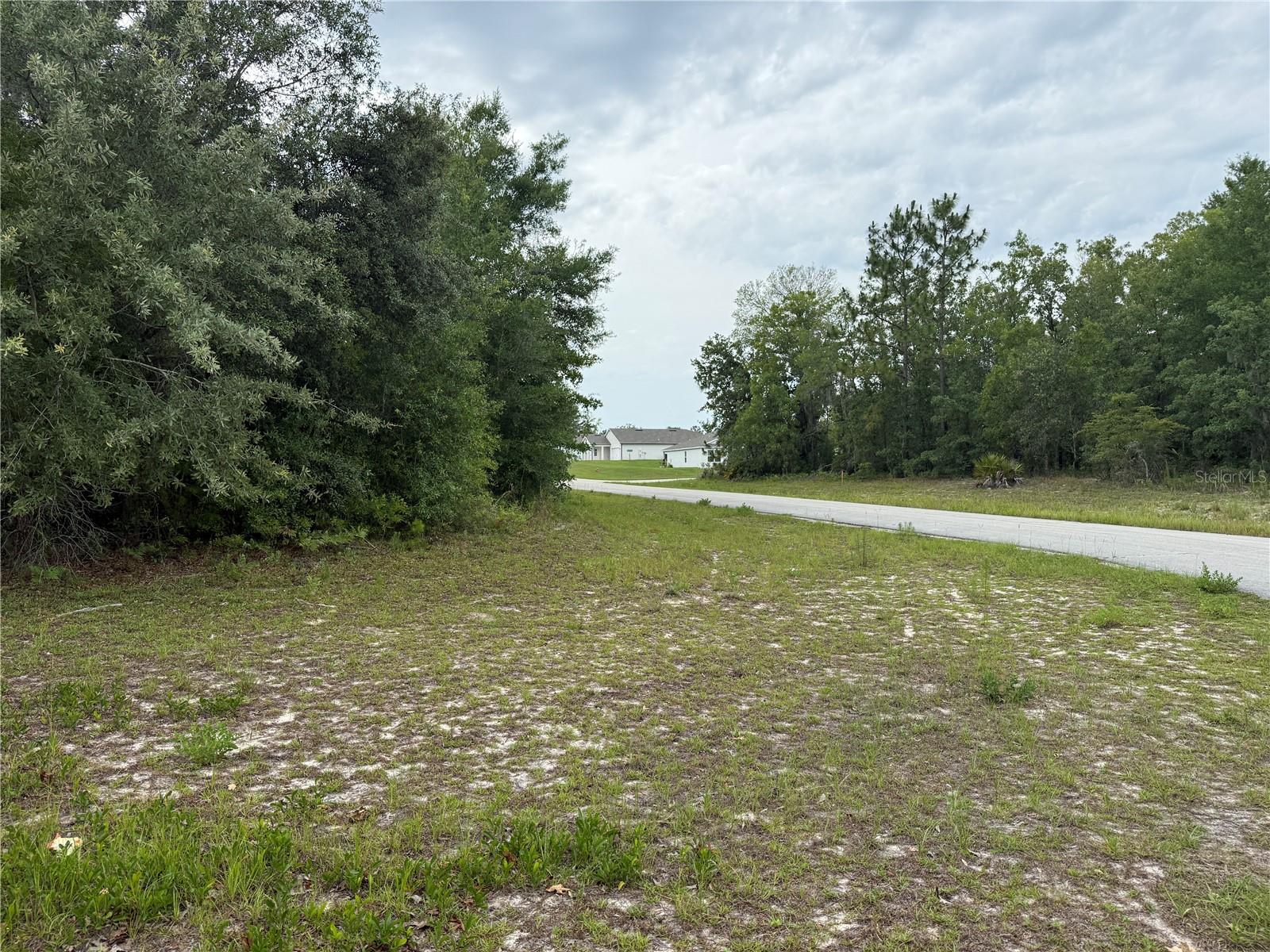 TBA SW 138TH LN, OCALA, FL, 34473