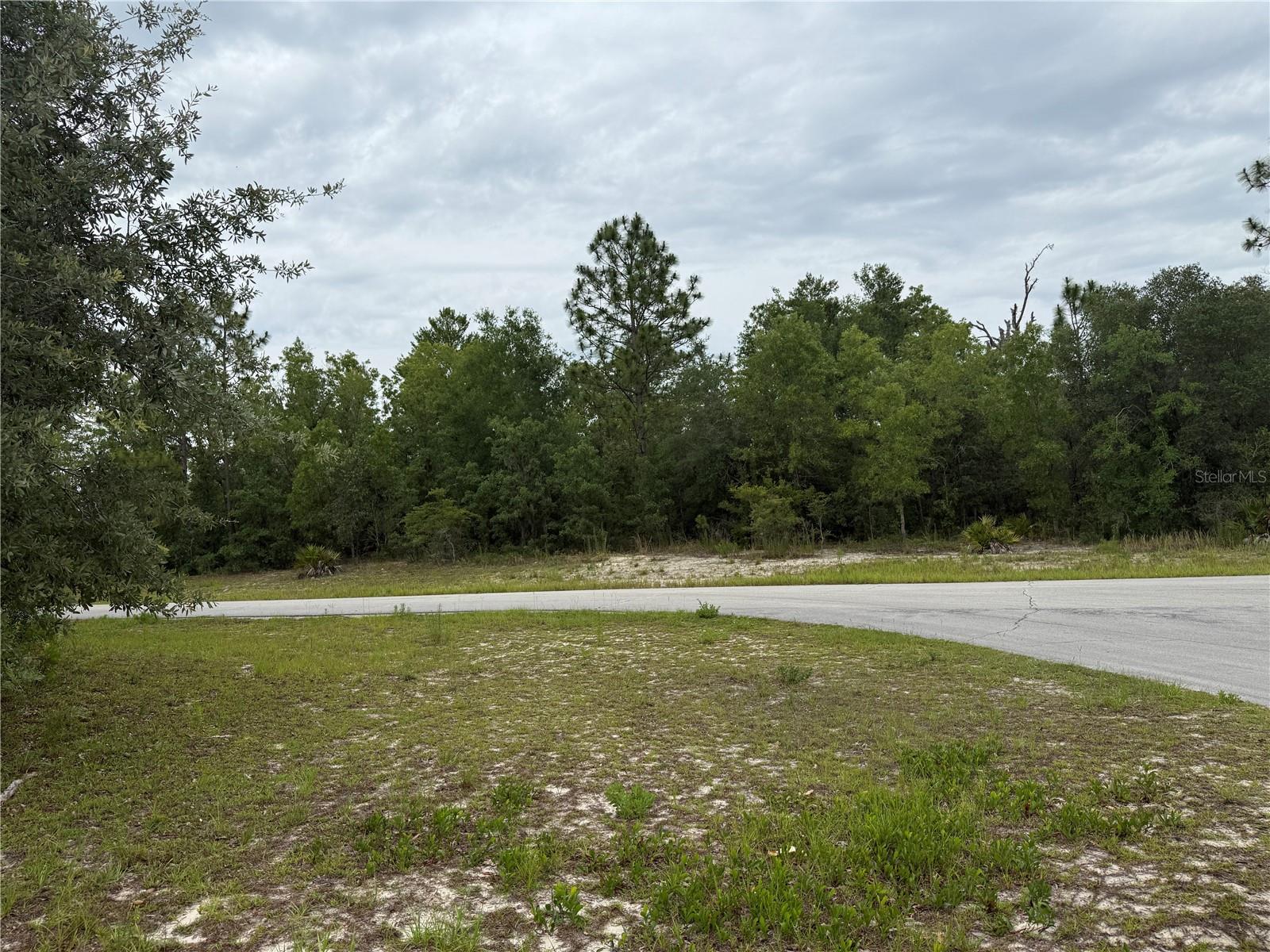 TBA SW 138TH LN, OCALA, FL, 34473