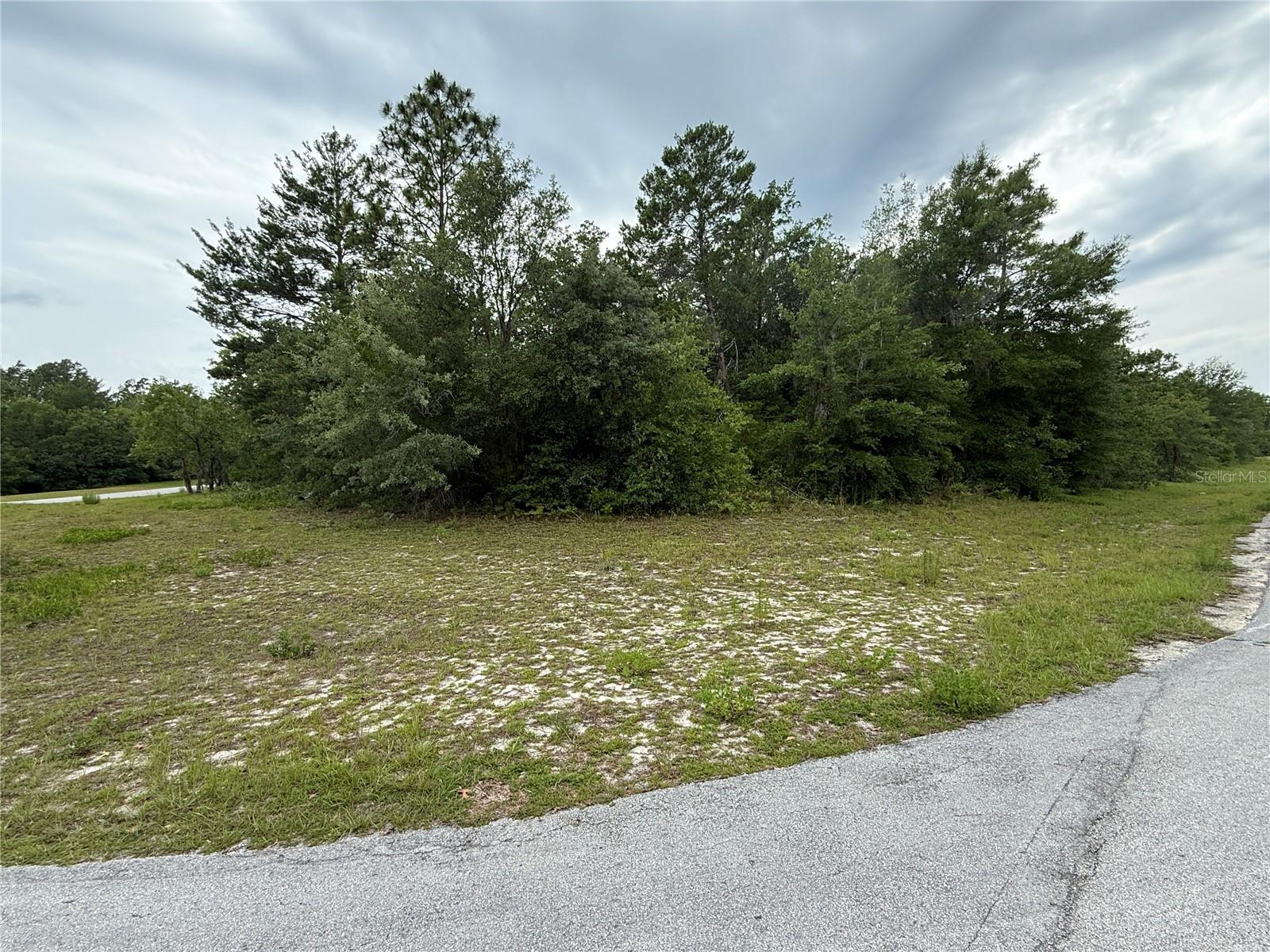 TBA SW 138TH LN, OCALA, FL, 34473