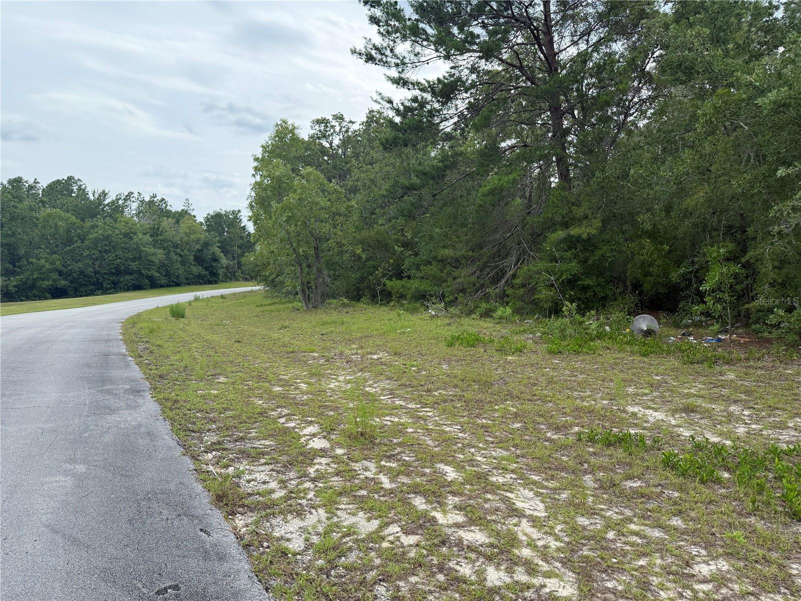 TBA SW 138TH LN, OCALA, FL, 34473